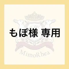 もぽ様 専用★ゆうパケット★