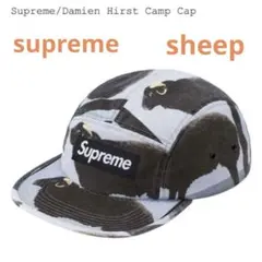 Supreme Damien Hirst Camp Cap