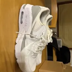 NIKEナイキAIR MAXエクシー29