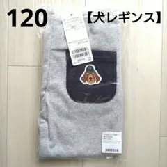 新品☆プティマイン 120 犬 レギンス 男の子 保育園 ボトムス