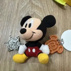 東京ディズニーリゾート ミッキー ぬいぐるみ マスコット