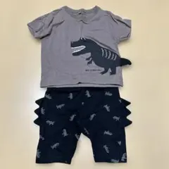 セットアップ　90㎝　恐竜