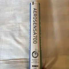 Item thumbnail for item 528cbc38-3f53-46a5-ad22-c23325df0503