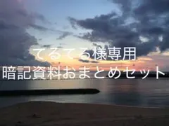 てるてる様専用