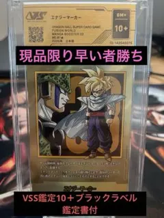 エナジーマーカー金　E-81★ VSS鑑定10