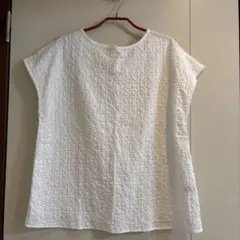 Item thumbnail for item 2d857249-a457-40b7-82be-4db1cf119ec7