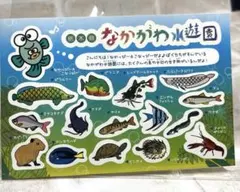 Item thumbnail for item e7d3ea66-fb92-4d1e-840e-27d49a845a67