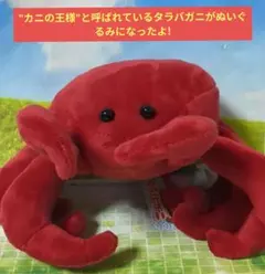 タグ付✨くったりタラバガニ ぬいぐるみ ST ワインレッド 約23cm 希少カラ