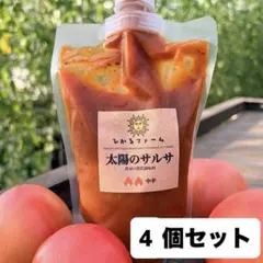 在庫一掃セールです‼️太陽のサルサ⭐️4つセットのサムネイル