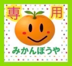 和歌山産　黄金柑　コンパクト　19個入り