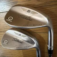 2026年最新】ダイナミックゴールド ツアーイシュー x100の人気アイテム