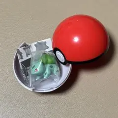 ポケモン モンスターボール フシギダネ フィギュア