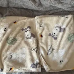 Item thumbnail for item 155b52f8-cb3b-4869-a202-6c9110d780b7