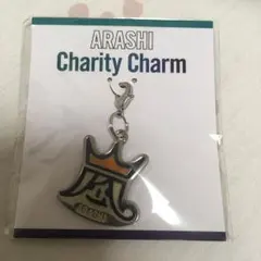 嵐 チャリティー チャーム