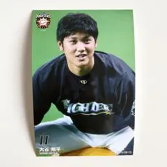 Item thumbnail for item 6436da78-94b6-4869-9c86-371feeb4d66e