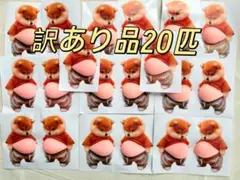【訳あり】20枚 柴犬 おなか ぷにぷに シール 立体 ぷっくり シール帳イヌ君