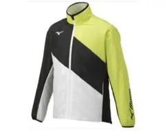 Item thumbnail for item d23afd96-f9a1-4891-999d-dd6c30bf8b78