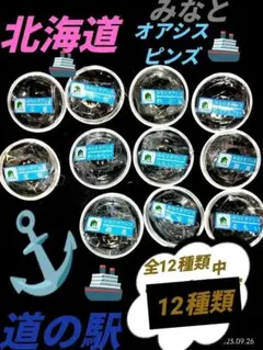 JR北海道バッチ Amazon.co.jp: 北海道道の駅 ガチャピンズラリーピンズ シルバー