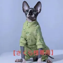 Item thumbnail for item 30644df5-1b8f-4b4c-9e83-76fd0742ee23