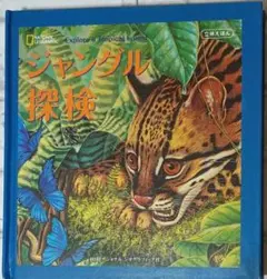 Item thumbnail for item 91004577-ef1d-4725-bdfe-df218cc99c4a