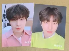 SEVENTEEN HARU トレカ ウォヌ