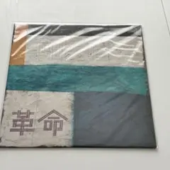 2026年最新】andymori レコードの人気アイテム - メルカリ