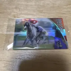 サラブレッドホースコレクション　ゴールドシップのサムネイル