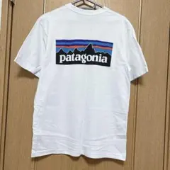 Patagonia Tシャツ 定番