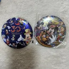 東京ディズニーリゾート 30周年 缶バッジ