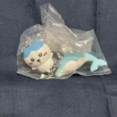 ちいかわ×水族館 【ハチワレ×イルカ】