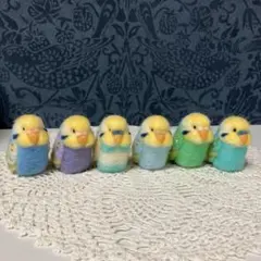キンカチョウ☆錦華鳥☆実物大☆6点セット - メルカリ