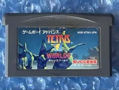 8mGBA ゲームボーイアドバンスTETRIS WORLDS テトリス ワールド