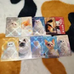 キャットアートカード 13