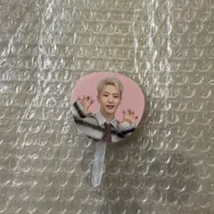 seventeen セブチ holiday ペンミ ミニピケット ホシ