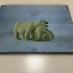 Item thumbnail for item 0e353792-76c4-4ab8-8d5a-ffbe65966c9e