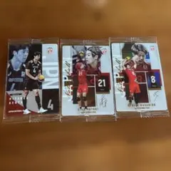 バレーボール 日本代表 トレーディングカード 3枚セット