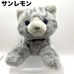 サンレモン Sunlemon アメリカンショートヘア アメショ ぬいぐるみのサムネイル