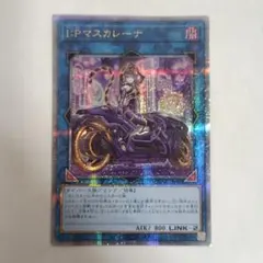 遊戯王　IPマスカレーナ　絵違い　25thシークレット
