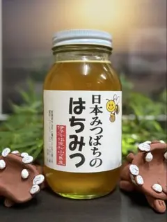 ハチミツ 日本蜜蜂の蜂蜜 巣箱違いの花粉入りはちみつ 奥山の奥 2026