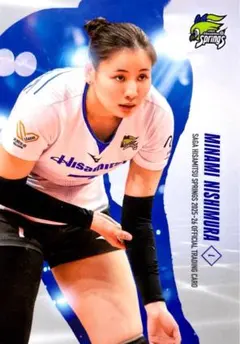 Item thumbnail for item e29ae4a3-a1d0-4ddd-b1f8-9d3826a0683f