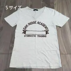 RAGEBLUE Vネック Tシャツ ホワイトベージュグレー Ｓサイズのサムネイル
