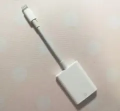 純正 Lightning to SD Card Camera Reader