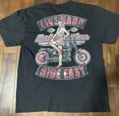 【最高デザイン】ハーレーダビッドソン USA製 90s 希少品 Tシャツ