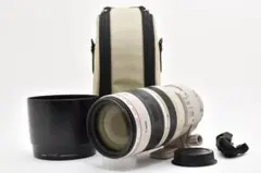 100800☆良品☆Canon 業務用デジタルビデオカメラ XF305 4453 - メルカリ