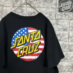 2026年最新】SANTA CRUZ バナーの人気アイテム - メルカリ