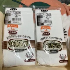 GUNZE天引きブリーフ　L Ｌサイズ　2個　未使用