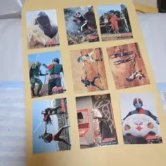 仮面ライダー トレーディングカード 9枚セット