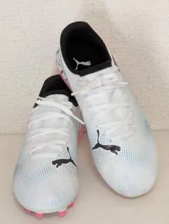 Item thumbnail for item 9b5a7eb0-5149-444c-a112-affdf8ade3d4