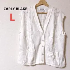レア⭐️CARLY BLAKE 【L】ホワイトニットベスト 白 ボタン ポケット