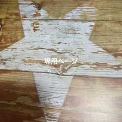 専用ページのサムネイル